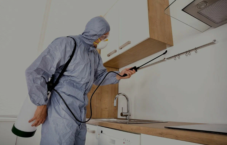 Oakley pest managment